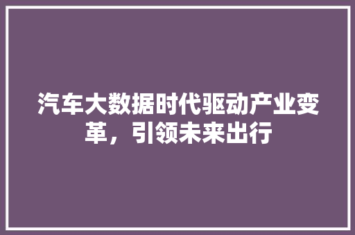 汽车大数据时代驱动产业变革，引领未来出行