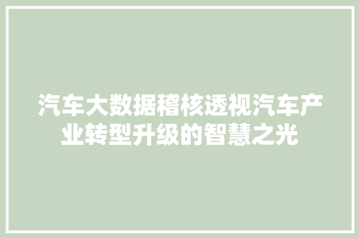 汽车大数据稽核透视汽车产业转型升级的智慧之光
