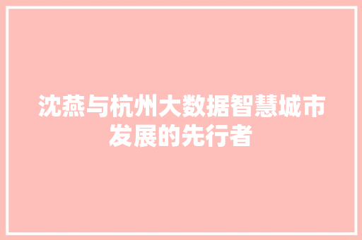 沈燕与杭州大数据智慧城市发展的先行者