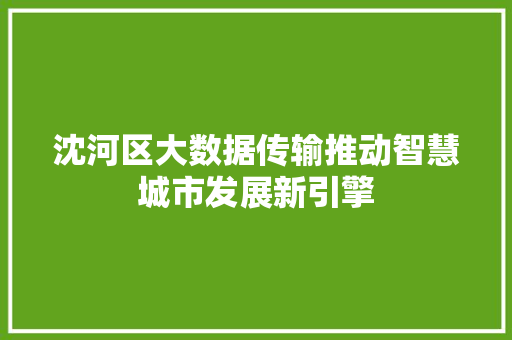 沈河区大数据传输推动智慧城市发展新引擎