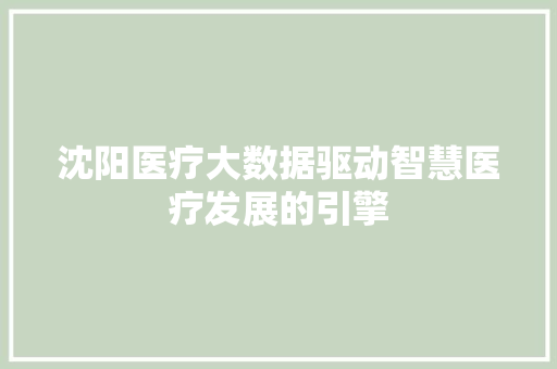沈阳医疗大数据驱动智慧医疗发展的引擎