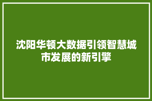 沈阳华顿大数据引领智慧城市发展的新引擎