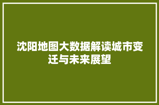 沈阳地图大数据解读城市变迁与未来展望
