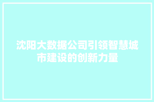 沈阳大数据公司引领智慧城市建设的创新力量