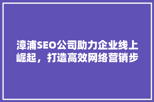 漳浦SEO公司助力企业线上崛起，打造高效网络营销步骤