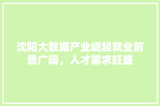 沈阳大数据产业崛起就业前景广阔，人才需求旺盛
