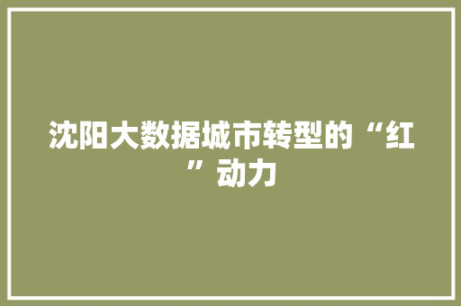 沈阳大数据城市转型的“红”动力