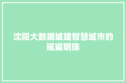 沈阳大数据城建智慧城市的璀璨明珠