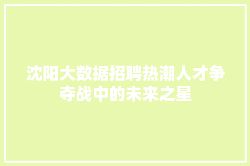 沈阳大数据招聘热潮人才争夺战中的未来之星