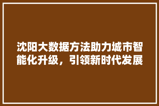 沈阳大数据方法助力城市智能化升级，引领新时代发展