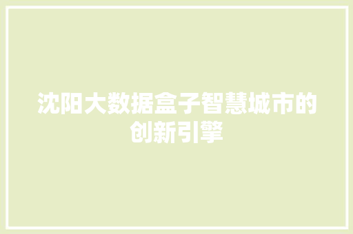 沈阳大数据盒子智慧城市的创新引擎
