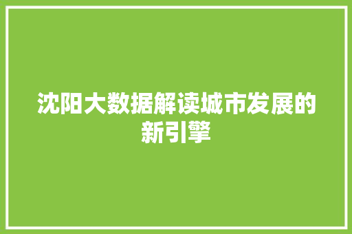 沈阳大数据解读城市发展的新引擎