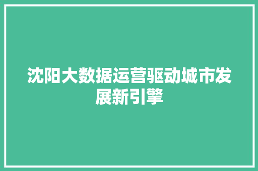 沈阳大数据运营驱动城市发展新引擎