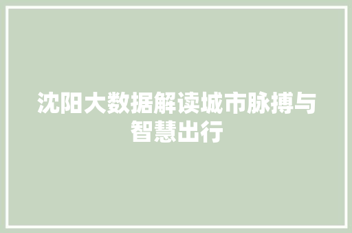 沈阳大数据解读城市脉搏与智慧出行