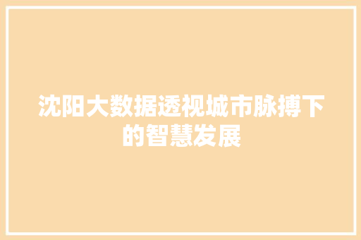 沈阳大数据透视城市脉搏下的智慧发展 前端技术