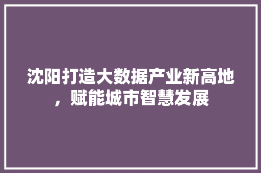 沈阳打造大数据产业新高地，赋能城市智慧发展
