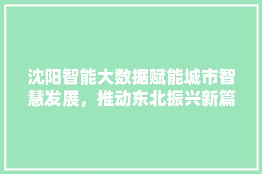 沈阳智能大数据赋能城市智慧发展，推动东北振兴新篇章