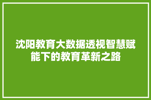 沈阳教育大数据透视智慧赋能下的教育革新之路