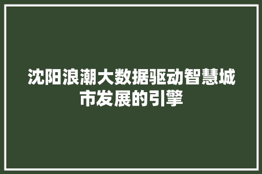 沈阳浪潮大数据驱动智慧城市发展的引擎