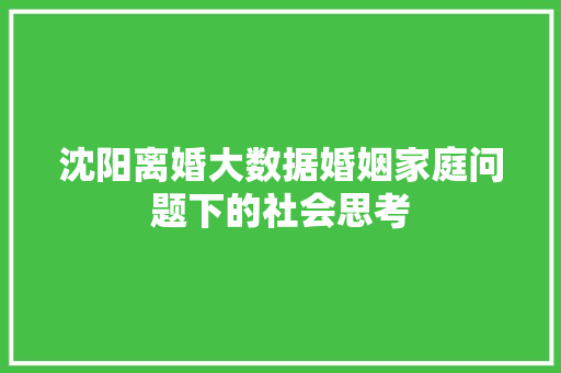 沈阳离婚大数据婚姻家庭问题下的社会思考