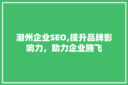 潮州企业SEO,提升品牌影响力，助力企业腾飞