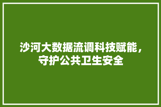 沙河大数据流调科技赋能，守护公共卫生安全