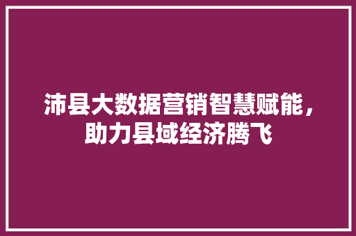 沛县大数据营销智慧赋能，助力县域经济腾飞