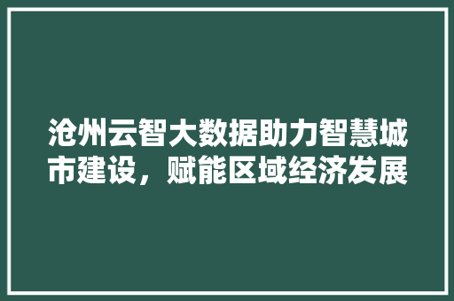 沧州云智大数据助力智慧城市建设，赋能区域经济发展