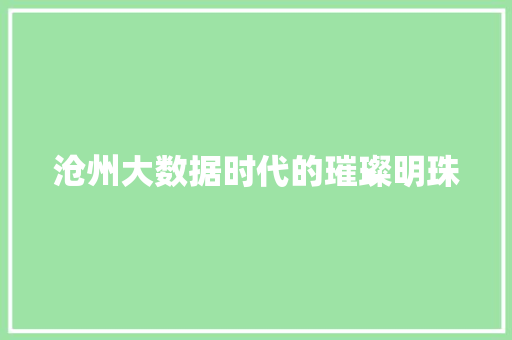 沧州大数据时代的璀璨明珠