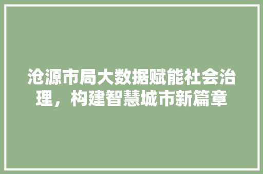 沧源市局大数据赋能社会治理，构建智慧城市新篇章