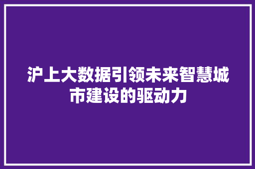 沪上大数据引领未来智慧城市建设的驱动力