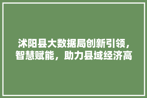 沭阳县大数据局创新引领，智慧赋能，助力县域经济高质量发展