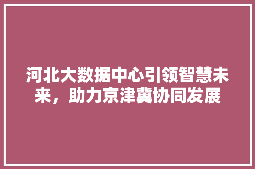 河北大数据中心引领智慧未来，助力京津冀协同发展