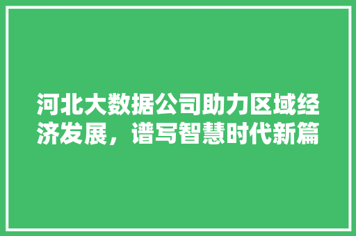 河北大数据公司助力区域经济发展，谱写智慧时代新篇章