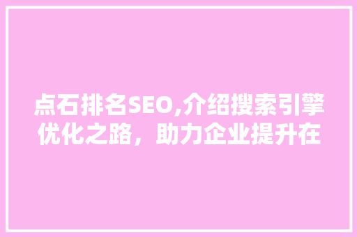 点石排名SEO,介绍搜索引擎优化之路，助力企业提升在线竞争力