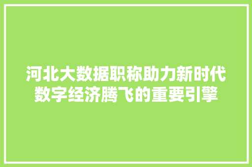 河北大数据职称助力新时代数字经济腾飞的重要引擎