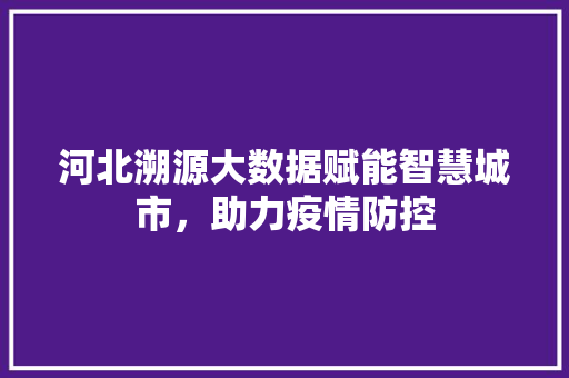 河北溯源大数据赋能智慧城市，助力疫情防控