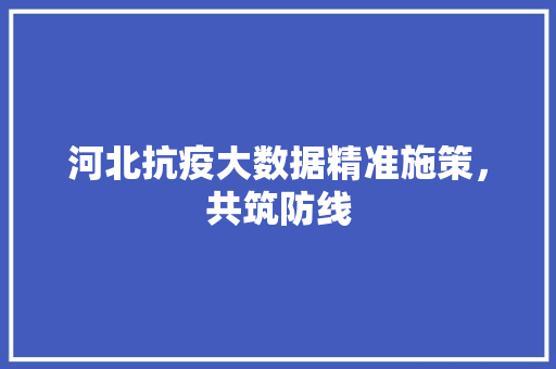 河北抗疫大数据精准施策，共筑防线