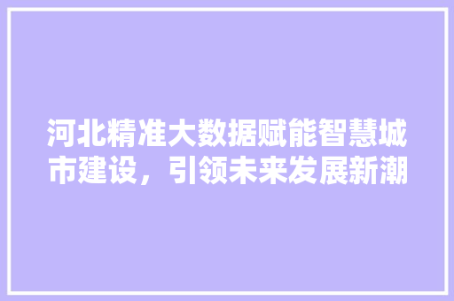 河北精准大数据赋能智慧城市建设，引领未来发展新潮流