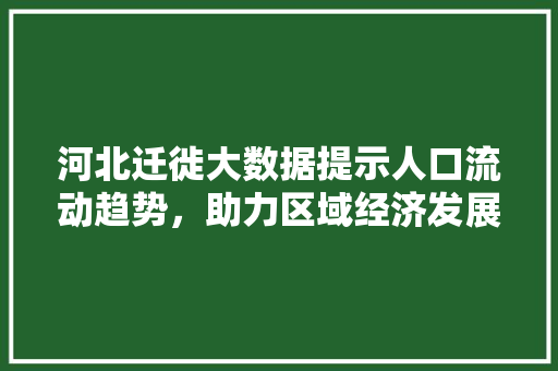 河北迁徙大数据提示人口流动趋势，助力区域经济发展