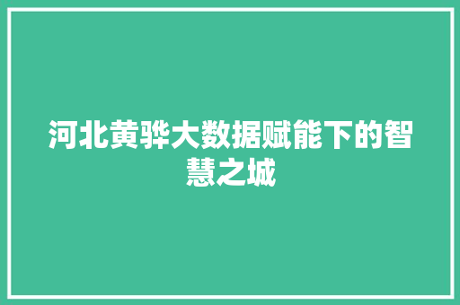 河北黄骅大数据赋能下的智慧之城