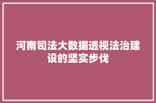 河南司法大数据透视法治建设的坚实步伐