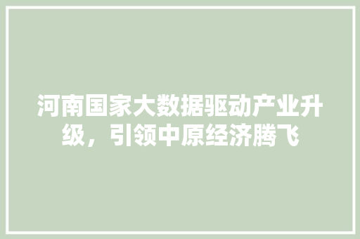 河南国家大数据驱动产业升级，引领中原经济腾飞
