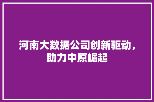 河南大数据公司创新驱动，助力中原崛起