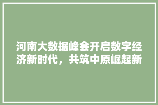 河南大数据峰会开启数字经济新时代，共筑中原崛起新篇章