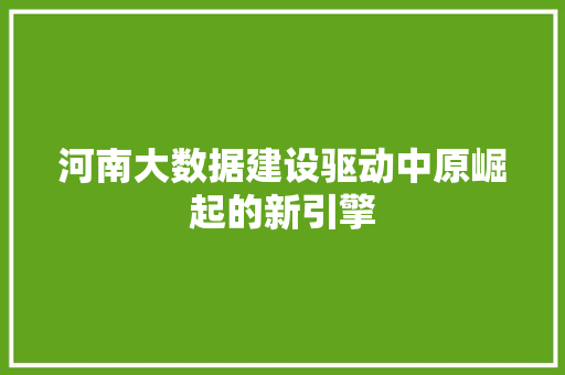 河南大数据建设驱动中原崛起的新引擎