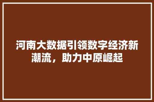 河南大数据引领数字经济新潮流，助力中原崛起