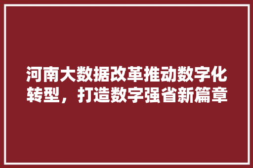 河南大数据改革推动数字化转型，打造数字强省新篇章