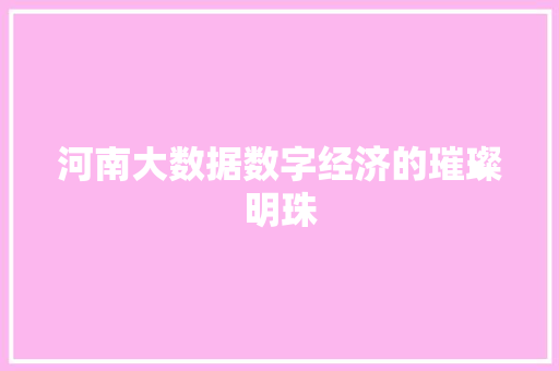 河南大数据数字经济的璀璨明珠