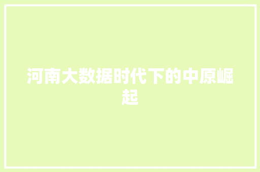 河南大数据时代下的中原崛起